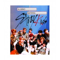 Stray Kids 3